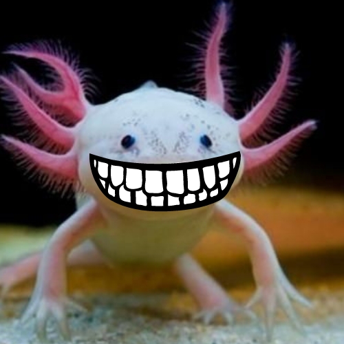 Axolotl with teeth