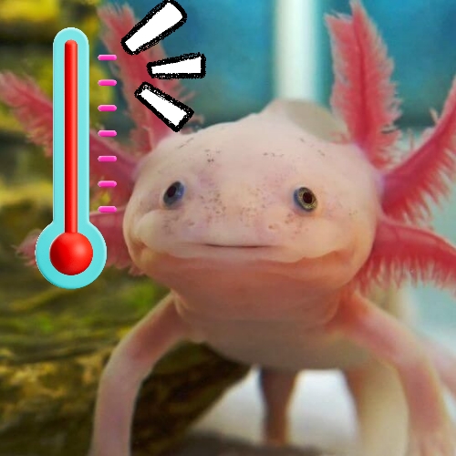 Axolotl Temperature