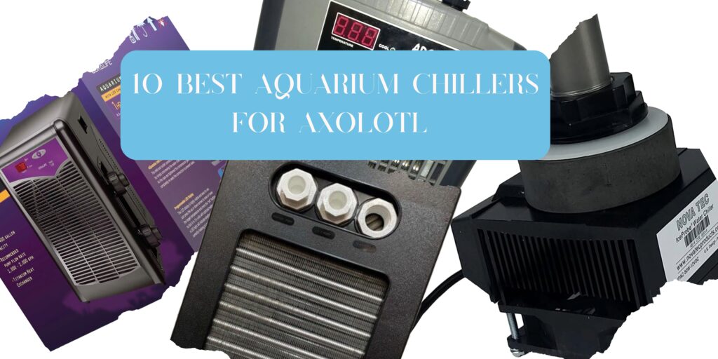 10 Best Aquarium Chillers For Axolotl In 2023