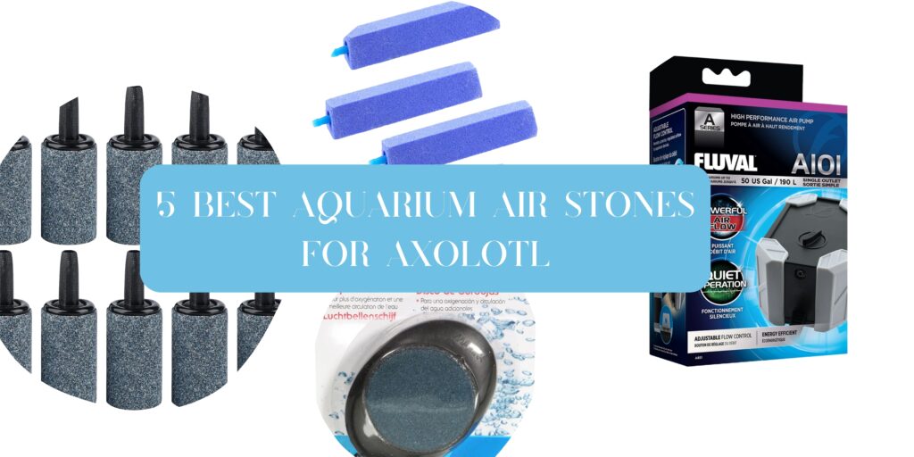 5 Best Aquarium Air Stones For Axolotl In 2023