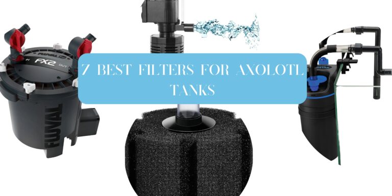 7 Best Filters For Axolotl Tanks In 2023